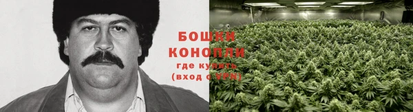 молекула духа Краснотурьинск