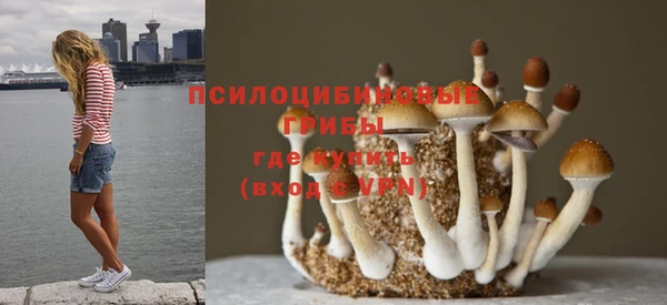 не бодяженный Куйбышев