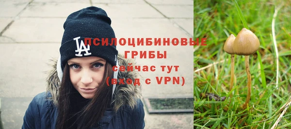экстази Краснослободск