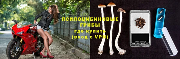 молекула духа Краснотурьинск