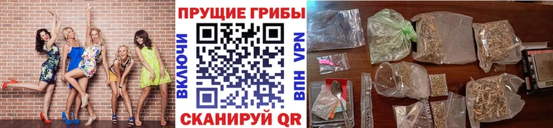 закладки  Северо-Курильск  Псилоцибиновые грибы ЛСД 